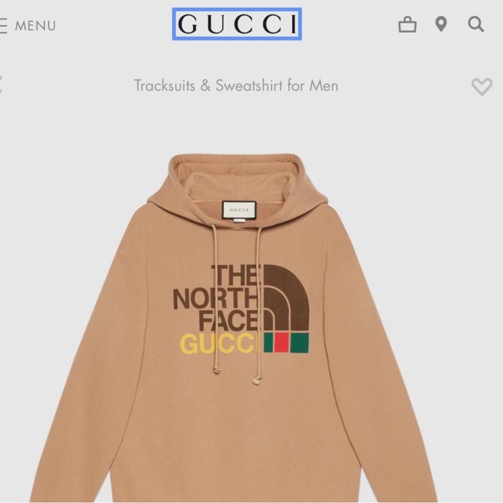 COPY - COPY - GUCCI- THE NORTH FACE HOODIE